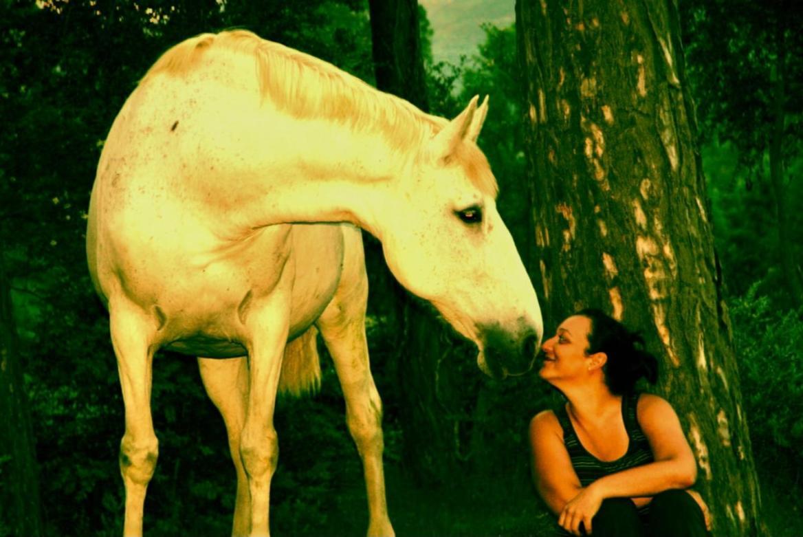 Campdevánol Mas La Rieraゲストハウス エクステリア 写真